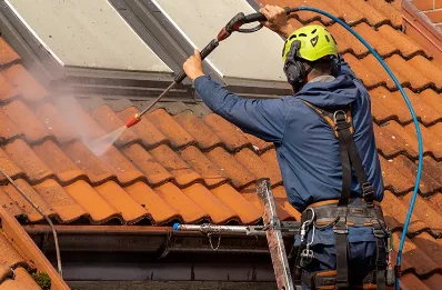 Démoussage et hydrofuge de toiture à Genête